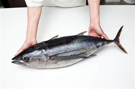 Balık yemenin sağlığa 7 faydası - Sağlık Haberleri | NTV